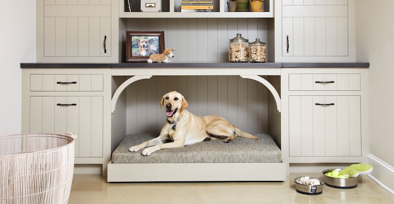 Pet-Friendly Cleaning